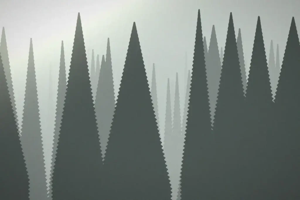 Forêt de conifères dans la brume du matin