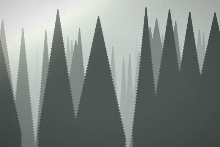 Forêt de conifères dans la brume du matin